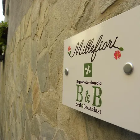 B&B Millefiori-2