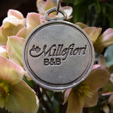 B&B Millefiori-3